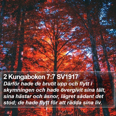 2 Kungaboken 7:7 SV1917 Bible Verse Image