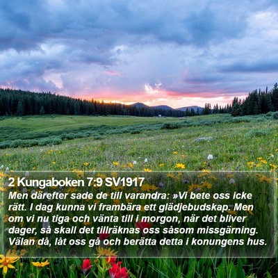 2 Kungaboken 7:9 SV1917 Bible Verse Image