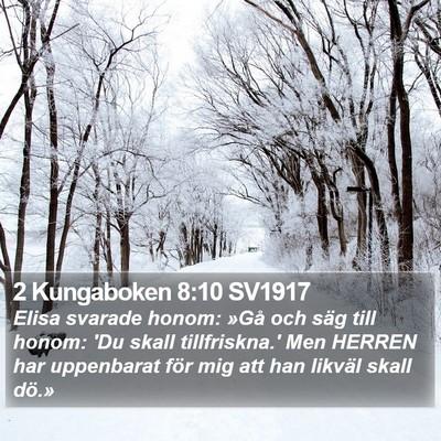 2 Kungaboken 8:10 SV1917 Bible Verse Image