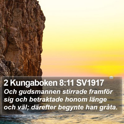 2 Kungaboken 8:11 SV1917 Bible Verse Image