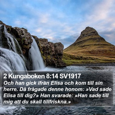 2 Kungaboken 8:14 SV1917 Bible Verse Image