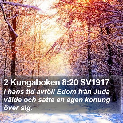 2 Kungaboken 8:20 SV1917 Bible Verse Image