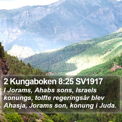 2 Kungaboken 8:25 SV1917 Bible Verse Image
