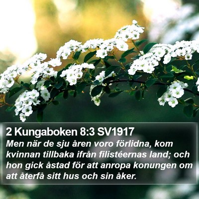 2 Kungaboken 8:3 SV1917 Bible Verse Image