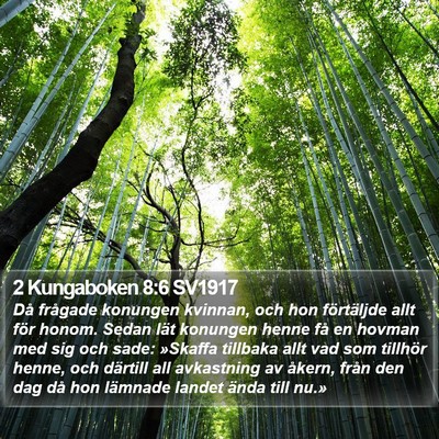 2 Kungaboken 8:6 SV1917 Bible Verse Image