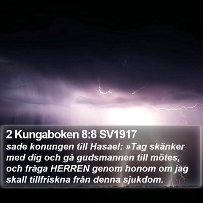 2 Kungaboken 8:8 SV1917 Bible Verse Image