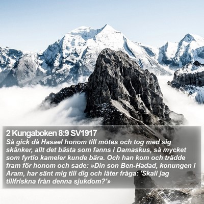 2 Kungaboken 8:9 SV1917 Bible Verse Image