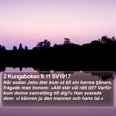 2 Kungaboken 9:11 SV1917 Bible Verse Image