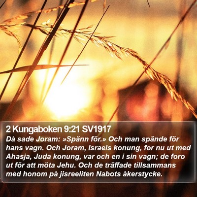2 Kungaboken 9:21 SV1917 Bible Verse Image