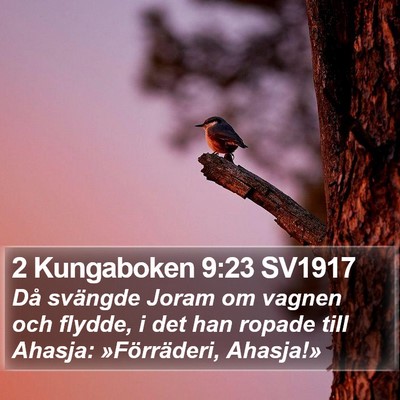 2 Kungaboken 9:23 SV1917 Bible Verse Image