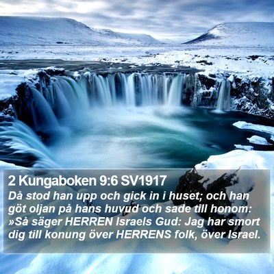 2 Kungaboken 9:6 SV1917 Bible Verse Image