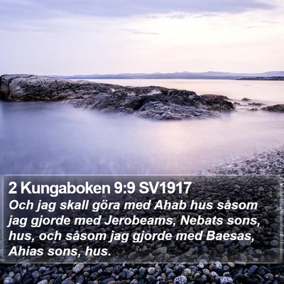 2 Kungaboken 9:9 SV1917 Bible Verse Image