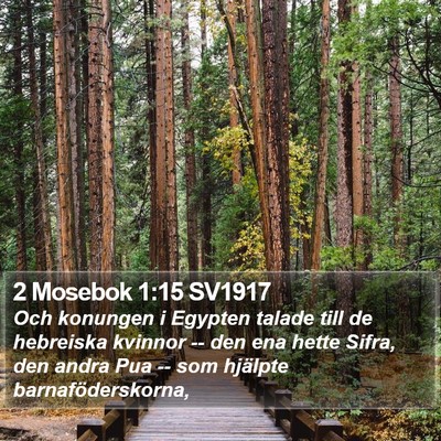2 Mosebok 1:15 SV1917 Bible Verse Image