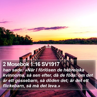 2 Mosebok 1:16 SV1917 Bible Verse Image