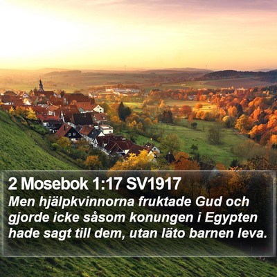 2 Mosebok 1:17 SV1917 Bible Verse Image
