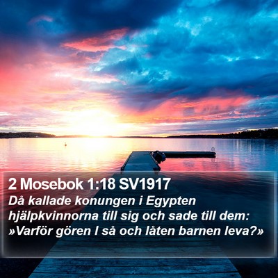 2 Mosebok 1:18 SV1917 Bible Verse Image