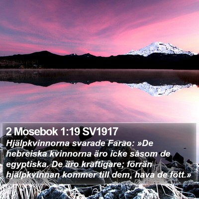 2 Mosebok 1:19 SV1917 Bible Verse Image