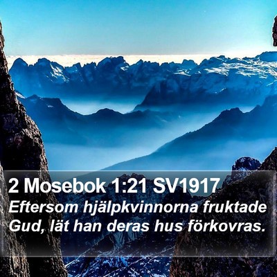 2 Mosebok 1:21 SV1917 Bible Verse Image