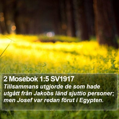 2 Mosebok 1:5 SV1917 Bible Verse Image