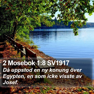 2 Mosebok 1:8 SV1917 Bible Verse Image