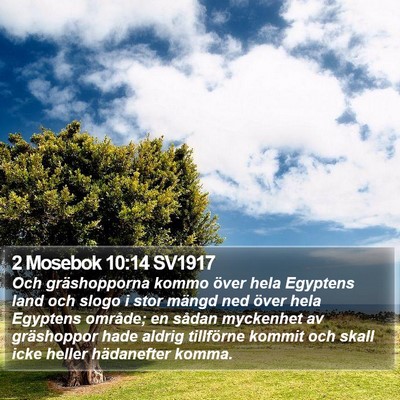 2 Mosebok 10:14 SV1917 Bible Verse Image