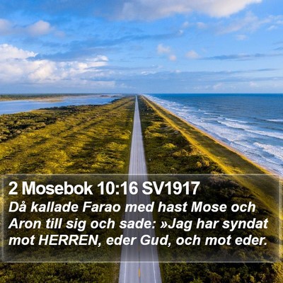 2 Mosebok 10:16 SV1917 Bible Verse Image