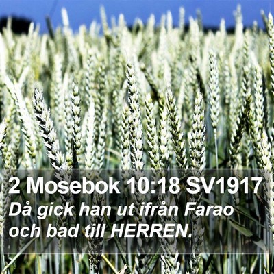 2 Mosebok 10:18 SV1917 Bible Verse Image
