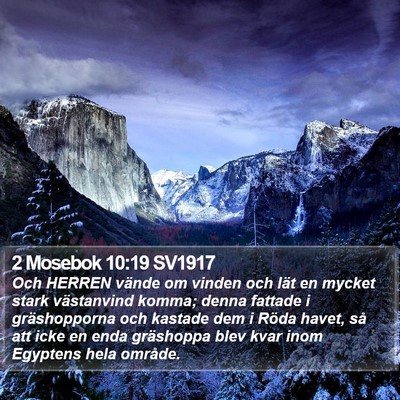 2 Mosebok 10:19 SV1917 Bible Verse Image