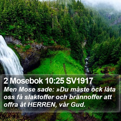 2 Mosebok 10:25 SV1917 Bible Verse Image