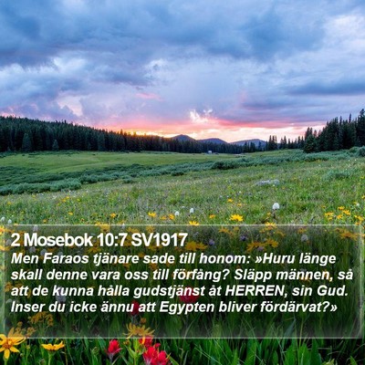 2 Mosebok 10:7 SV1917 Bible Verse Image