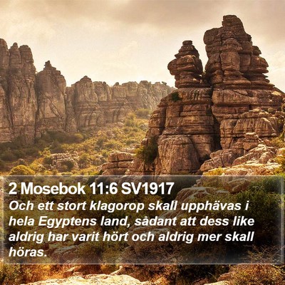 2 Mosebok 11:6 SV1917 Bible Verse Image