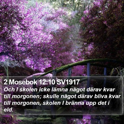 2 Mosebok 12:10 SV1917 Bible Verse Image