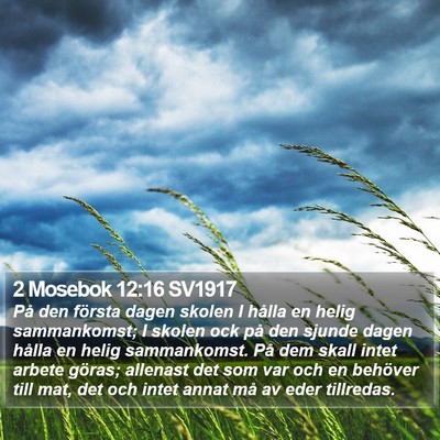 2 Mosebok 12:16 SV1917 Bible Verse Image