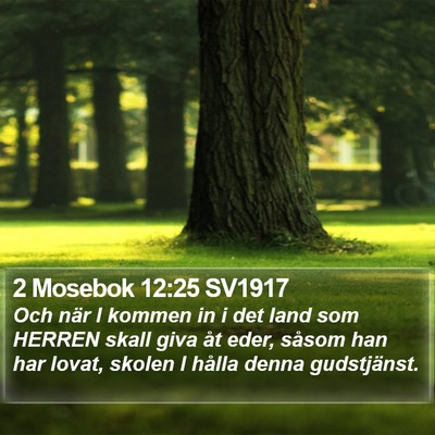 2 Mosebok 12:25 SV1917 Bible Verse Image