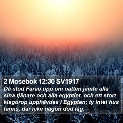 2 Mosebok 12:30 SV1917 Bible Verse Image