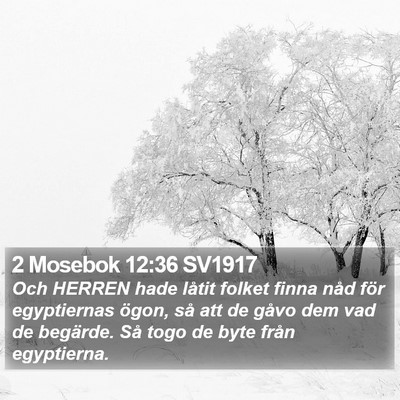 2 Mosebok 12:36 SV1917 Bible Verse Image