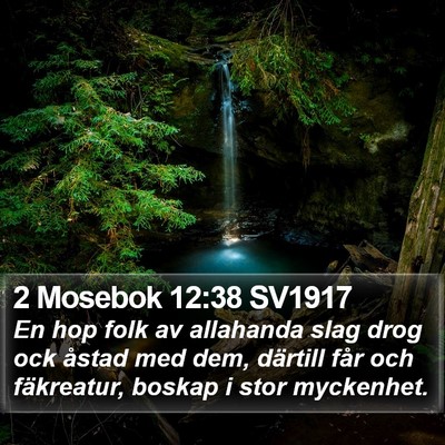 2 Mosebok 12:38 SV1917 Bible Verse Image