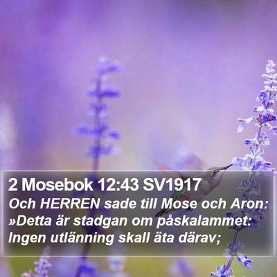 2 Mosebok 12:43 SV1917 Bible Verse Image