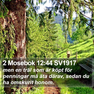 2 Mosebok 12:44 SV1917 Bible Verse Image