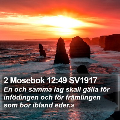 2 Mosebok 12:49 SV1917 Bible Verse Image