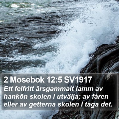 2 Mosebok 12:5 SV1917 Bible Verse Image