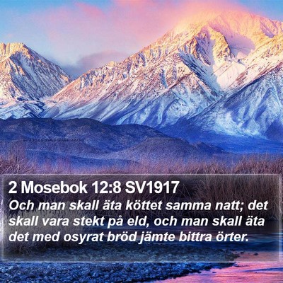 2 Mosebok 12:8 SV1917 Bible Verse Image