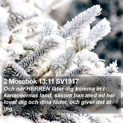 2 Mosebok 13:11 SV1917 Bible Verse Image