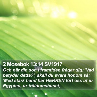 2 Mosebok 13:14 SV1917 Bible Verse Image