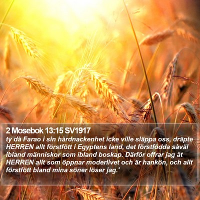 2 Mosebok 13:15 SV1917 Bible Verse Image