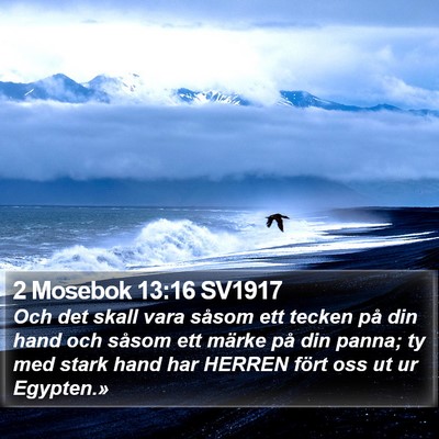 2 Mosebok 13:16 SV1917 Bible Verse Image