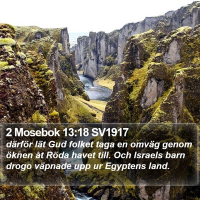 2 Mosebok 13:18 SV1917 Bible Verse Image