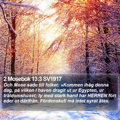2 Mosebok 13:3 SV1917 Bible Verse Image