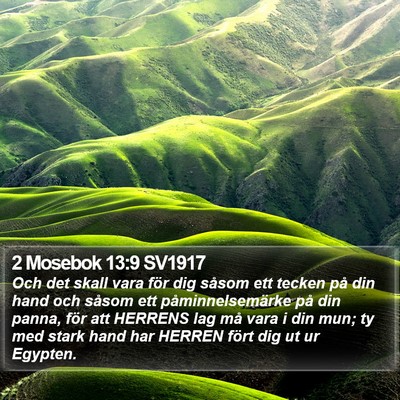 2 Mosebok 13:9 SV1917 Bible Verse Image