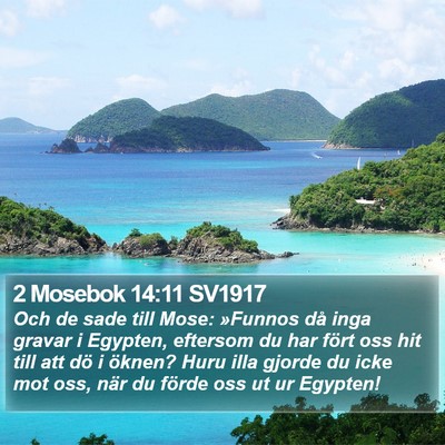2 Mosebok 14:11 SV1917 Bible Verse Image